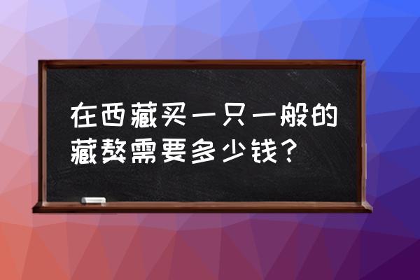 最好藏獒犬多少钱一只 在西藏买一只一般的藏獒需要多少钱？