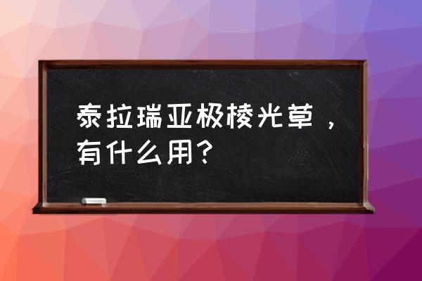 泰拉瑞亚月光草快速获得方法 泰拉瑞亚极棱光草，有什么用？