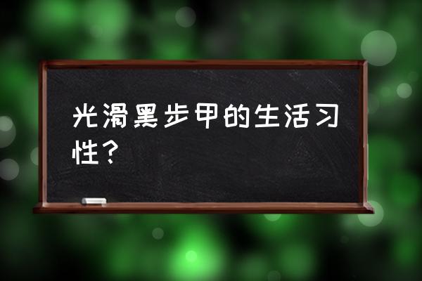 最强蜗牛挑战黑魔王 光滑黑步甲的生活习性？