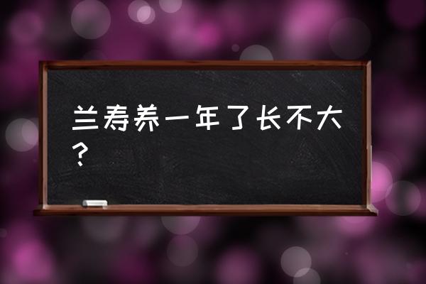 兰寿鱼从2厘米到10厘米得多久 兰寿养一年了长不大？