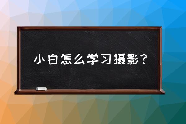 lightroom怎么添加肖像 小白怎么学习摄影？