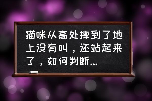 宝宝高处摔头怎样判断没事 猫咪从高处摔到了地上没有叫，还站起来了，如何判断它有没有受伤？