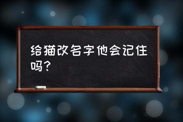 怪物猎人崛起怎么给猫改名 给猫改名字他会记住吗？