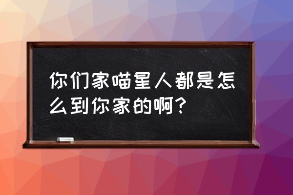 暹罗猫第一次来新家很害怕怎么办 你们家喵星人都是怎么到你家的啊？