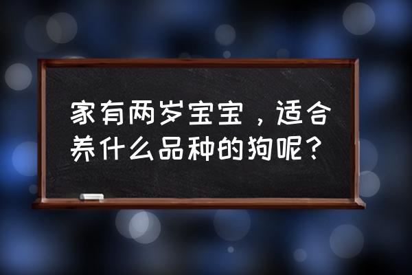 小孩可以单独和狗玩吗 家有两岁宝宝，适合养什么品种的狗呢？