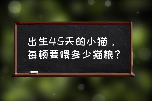 养小猫的新人需要准备些什么 出生45天的小猫，每顿要喂多少猫粮？