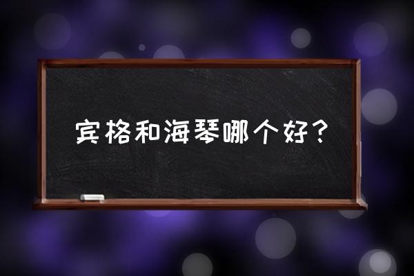 宾格手表哪种最贵 宾格和海琴哪个好？