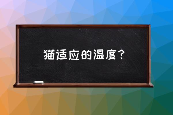 成年猫的正常体温是多少 猫适应的温度？