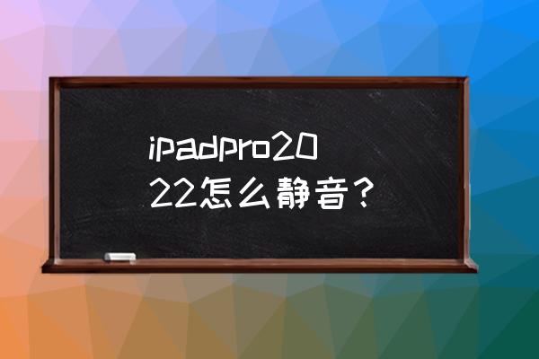 苹果平板怎么关闭自动静音 ipadpro2022怎么静音？