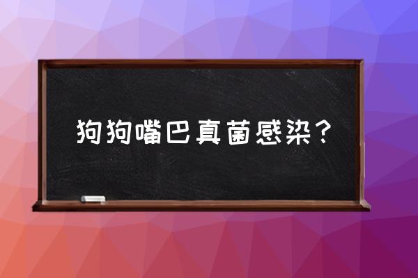 狗狗真菌感染最佳方法 狗狗嘴巴真菌感染？