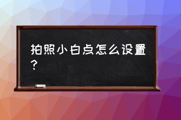 荣耀20pro怎样设置触摸拍照 拍照小白点怎么设置？