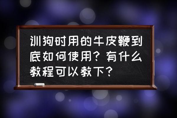 训狗器哪个最好用 训狗时用的牛皮鞭到底如何使用？有什么教程可以教下？