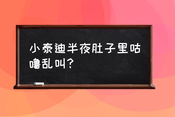 狗肚子咕咕叫拉稀怎么回事 小泰迪半夜肚子里咕噜乱叫？