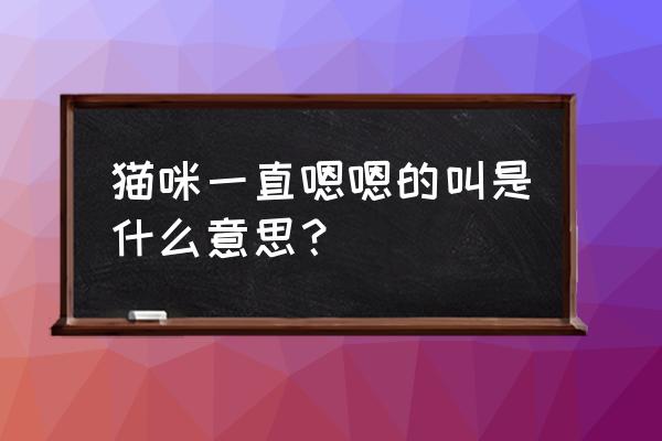 春季猫咪爱叫怎么办 猫咪一直嗯嗯的叫是什么意思？