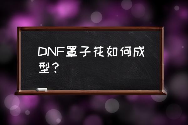 dnf高科技战术指挥上衣怎么用 DNF罩子花如何成型？