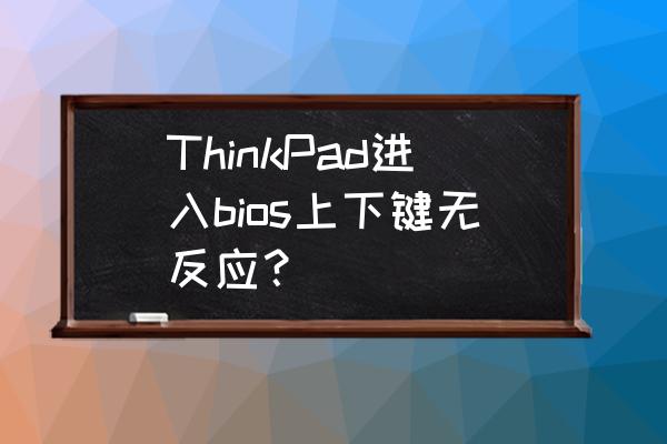 thinkpade450如何u盘启动进pe系统 ThinkPad进入bios上下键无反应？