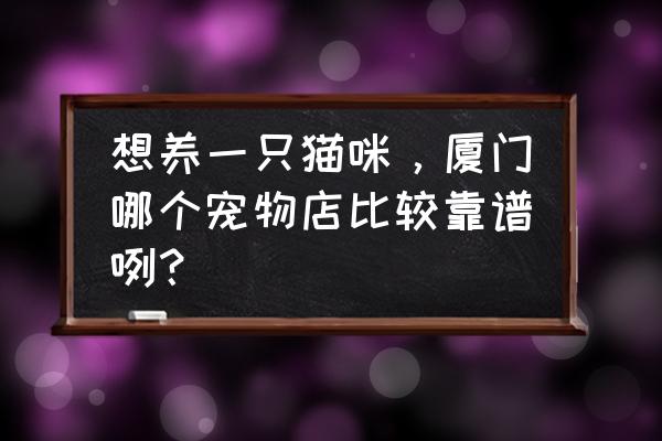 在北方开宠物店怎么样 想养一只猫咪，厦门哪个宠物店比较靠谱咧？