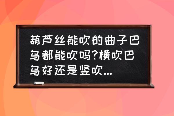 葫芦丝巴乌演奏入门教程 葫芦丝能吹的曲子巴乌都能吹吗?横吹巴乌好还是竖吹的好?没有一点音乐基础的人学这两样好学吗？