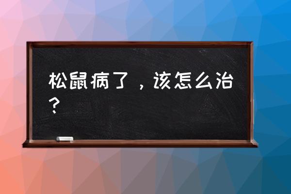 家养松鼠会得什么病 松鼠病了，该怎么治？