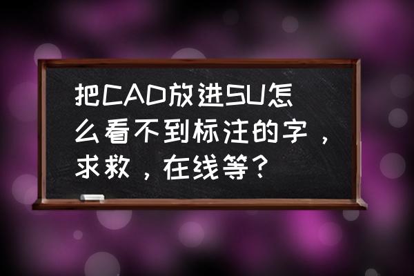 sketchup怎么在图形上输入文字 把CAD放进SU怎么看不到标注的字，求救，在线等？