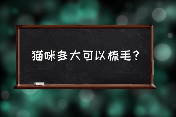 猫咪梳毛的最佳时间 猫咪多大可以梳毛？