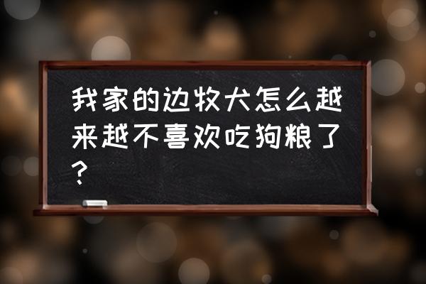 怎么能改法斗犬挑食的毛病 我家的边牧犬怎么越来越不喜欢吃狗粮了？