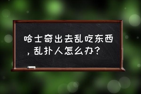 让狗狗改掉扑人的习惯 哈士奇出去乱吃东西，乱扑人怎么办？