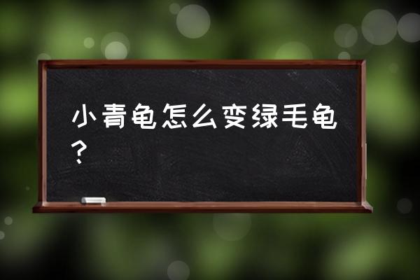 小乌龟壳特别粗糙发白怎么办 小青龟怎么变绿毛龟？