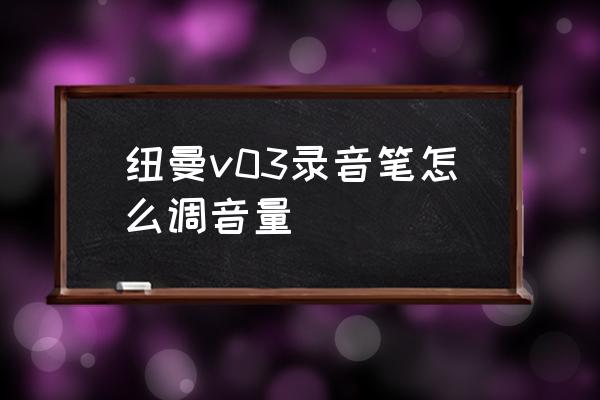 纽曼rv51录音笔怎么恢复出厂设置 纽曼v03录音笔怎么调音量