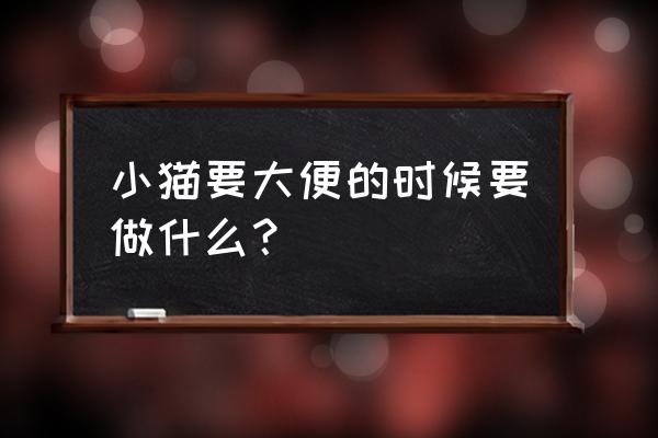 怎么能让猫快速拉屎 小猫要大便的时候要做什么？