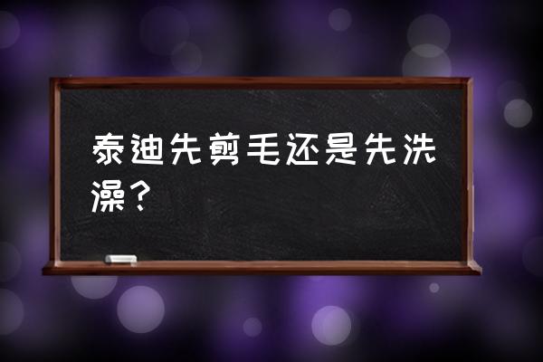 自己在家如何给泰迪美容 泰迪先剪毛还是先洗澡？