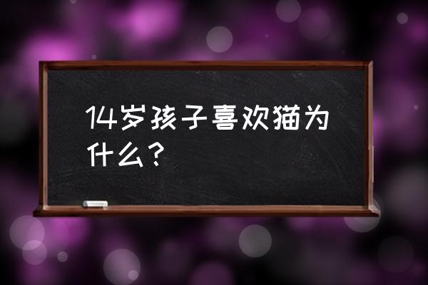 怎么判断猫咪需要玩伴 14岁孩子喜欢猫为什么？