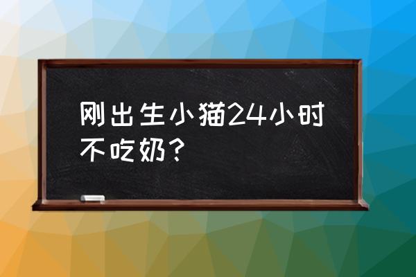 怎么判断小奶猫是不是吃饱了 刚出生小猫24小时不吃奶？