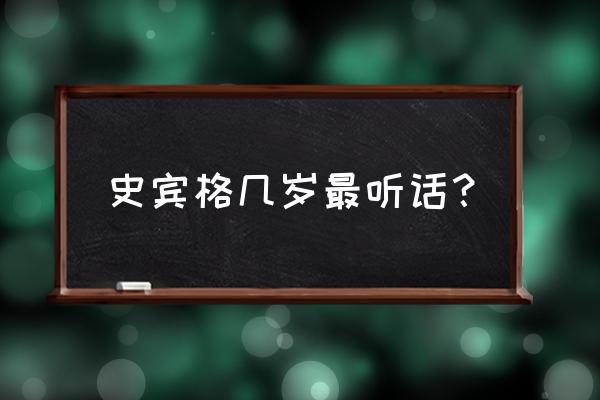 史宾格幼犬吃什么零食 史宾格几岁最听话？