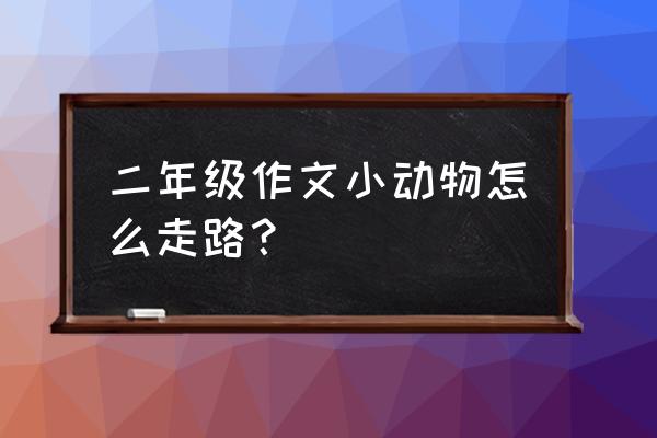 怎么制作行走的小动物 二年级作文小动物怎么走路？