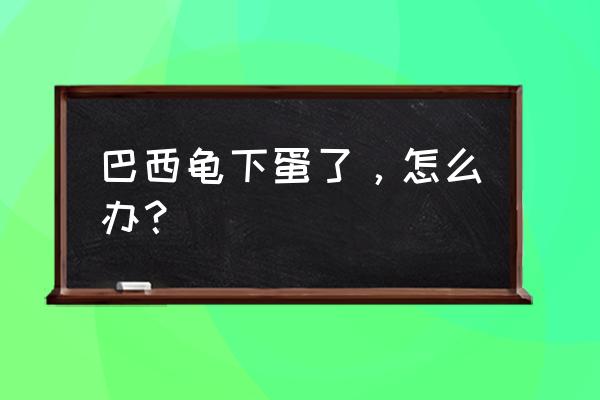 乌龟下蛋怎么处理好 巴西龟下蛋了，怎么办？