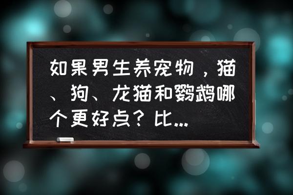 怎样挑选一只适合自己养的宠物 如果男生养宠物，猫、狗、龙猫和鹦鹉哪个更好点？比较容易上手不容易生病或者死的？