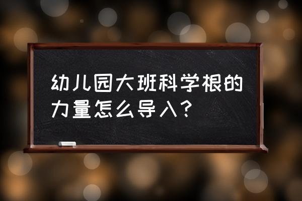 大班幼儿学习球类的意义 幼儿园大班科学根的力量怎么导入？