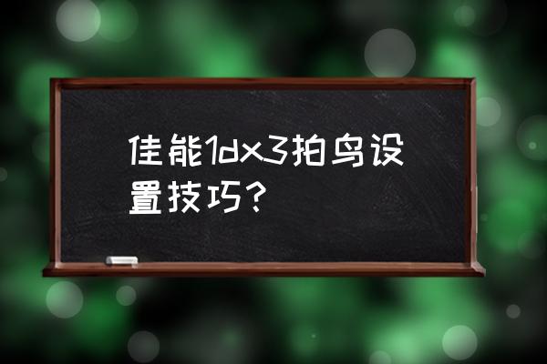 佳能1dx3的正确使用方法 佳能1dx3拍鸟设置技巧？