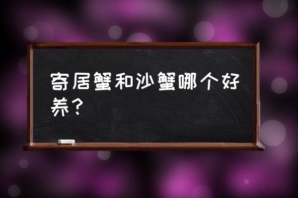 寄居蟹如何养得更长时间 寄居蟹和沙蟹哪个好养？