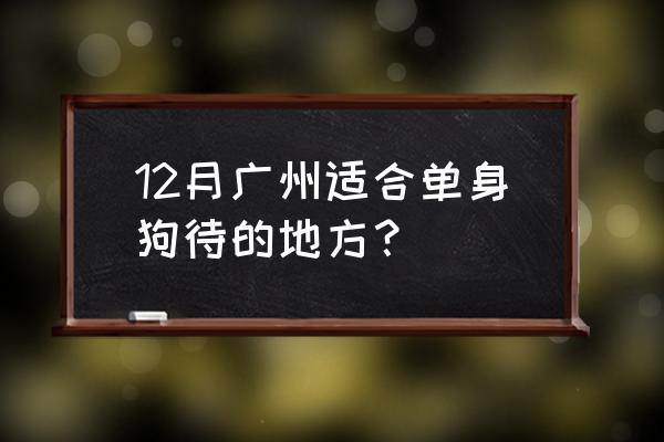 广州哪个批发市场买狗比较好 12月广州适合单身狗待的地方？