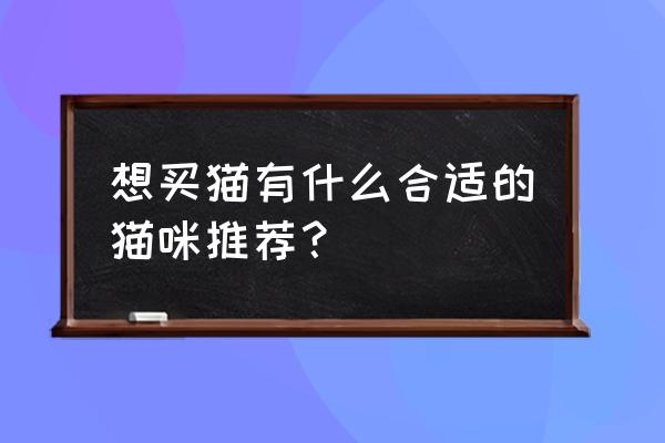 宠物猫如何选择及饲养方法 想买猫有什么合适的猫咪推荐？