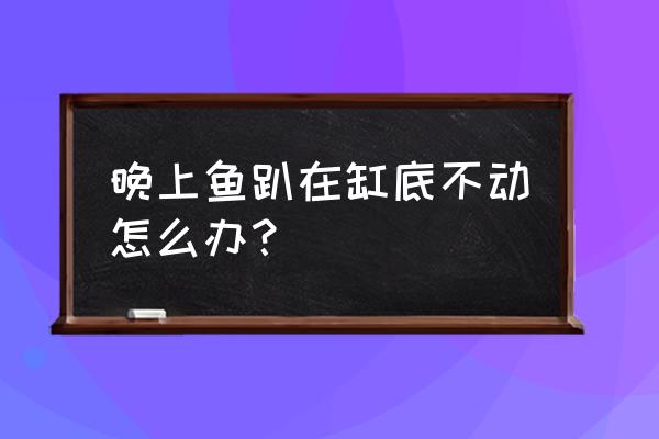 鱼趴在缸底不动是睡觉吗 晚上鱼趴在缸底不动怎么办？