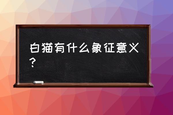 母猫咪闹春最快的解决方法和禁忌 白猫有什么象征意义？