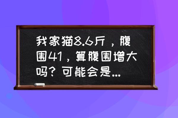 怎么判断猫是怀孕还是腹水 我家猫8.6斤，腹围41，算腹围增大吗？可能会是传腹吗？