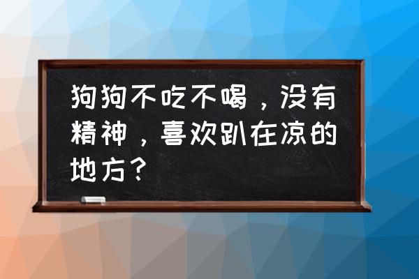 狗狗不吃不喝没精神怎么解决 狗狗不吃不喝，没有精神，喜欢趴在凉的地方？