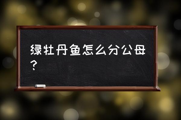 牡丹公母对照图大全 绿牡丹鱼怎么分公母？