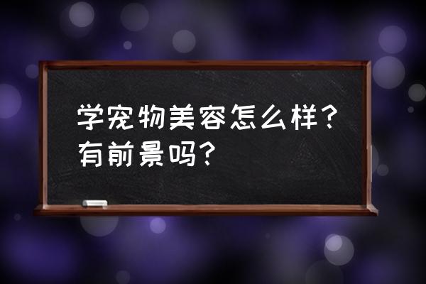 学宠物美容大概要多久能学会 学宠物美容怎么样？有前景吗？