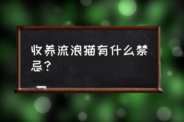 怎么正确的收养流浪猫 收养流浪猫有什么禁忌？