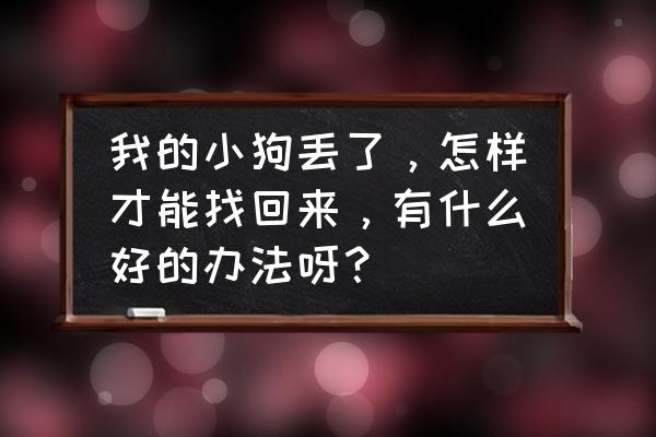 怎么训练狗狗叼东西捡回来 我的小狗丢了，怎样才能找回来，有什么好的办法呀？